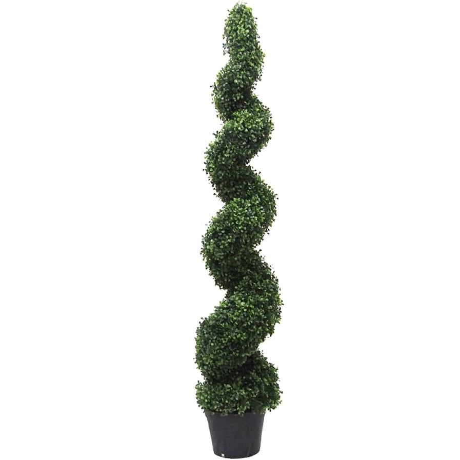 5 Foot Boxwood Spiral Topiary: Potted 3 5 Foot Boxwood Spiral Topiary: Potted
