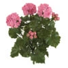 17 Inch Artificial Outdoor Pink Geranium Bush: Unpotted -Artificial Trees Shop AGF A 144106