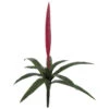27 Inch Outdoor Fuchsia Vriesea Splendens Bromeliad 1 27 Inch Outdoor Fuchsia Vriesea Splendens Bromeliad -Artificial Trees Shop AGF A 144130