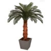 6 Foot Artificial Outdoor Cycas Palm Tree: Natural Trunk & 24 Fronds -Artificial Trees Shop AGF A 154300