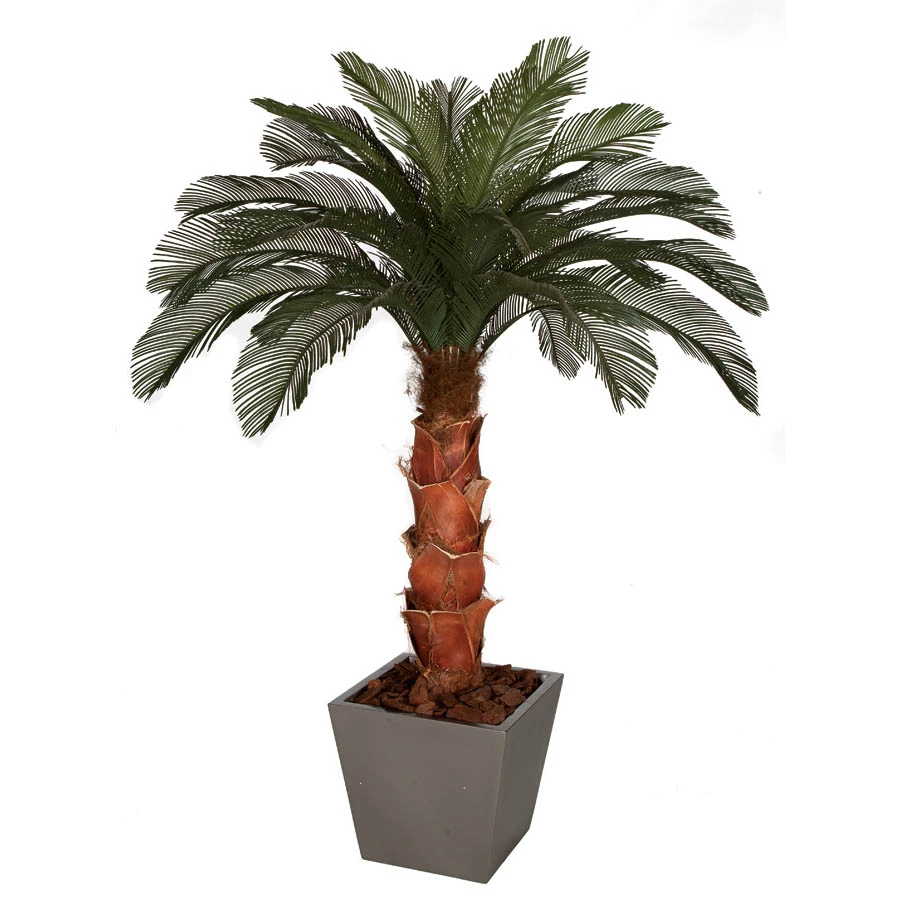 6 Foot Artificial Outdoor Cycas Palm Tree: Natural Trunk & 24 Fronds 3 6 Foot Artificial Outdoor Cycas Palm Tree: Natural Trunk & 24 Fronds