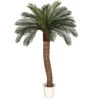 6 Foot Artificial Outdoor Cycas Palm Tree: Ribbed Synthetic Trunk & 24 Fronds 2 6 Foot Artificial Outdoor Cycas Palm Tree: Ribbed Synthetic Trunk & 24 Fronds -Artificial Trees Shop AGF A 154320