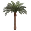 6 Foot Artificial Outdoor Cycas Palm Tree: Smooth Synthetic Trunk & 24 Fronds -Artificial Trees Shop AGF A 154340