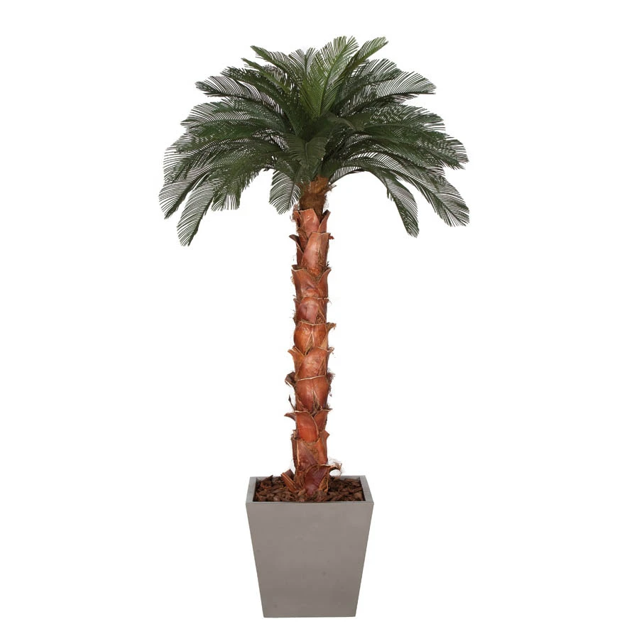 9 Foot Artificial Outdoor Cycas Palm Tree: Natural Trunk & 36 Fronds 3 9 Foot Artificial Outdoor Cycas Palm Tree: Natural Trunk & 36 Fronds