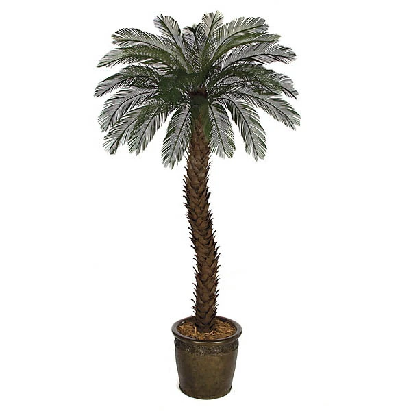 12 Foot Artificial Outdoor Cycas Palm With 36 Fronds 3 12 Foot Artificial Outdoor Cycas Palm With 36 Fronds