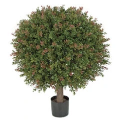 24H X 20W Inch Outdoor Wintergreen Boxwood Ball: : Limited UV