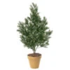4 Foot Artificial Outdoor Podocarpus Bush: Natural Trunk -Artificial Trees Shop AGF1039 ZM 1
