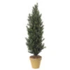 5 Foot Artificial Outdoor Podocarpus Bush -Artificial Trees Shop AGF1043 ZM 1