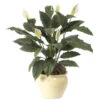34 Inch Spathiphyllum Bush: Potted -Artificial Trees Shop AGF1046 ZM 1