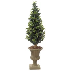 5 Foot Artificial Outdoor Laurel Cone Topiary: Natural Trunk
