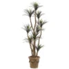 6.5 Foot Artificial Outdoor Liriope Tree: Potted -Artificial Trees Shop AGF1056 ZM 1