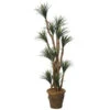 7 Foot Artificial Outdoor Liriope Tree: Potted -Artificial Trees Shop AGF1058 ZM 1