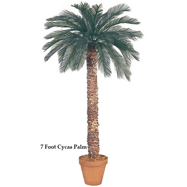 5 Foot Artificial Outdoor Cycas Palm With 36 Fronds And Natural Trunk 3 5 Foot Artificial Outdoor Cycas Palm With 36 Fronds And Natural Trunk