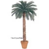6 Foot Artificial Outdoor Cycas Palm With 36 Fronds And Natural Trunk -Artificial Trees Shop AGF1091 ZM 1