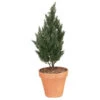 32 Inch Artificial Outdoor Cypress Tree -Artificial Trees Shop AGF1095 ZM 1