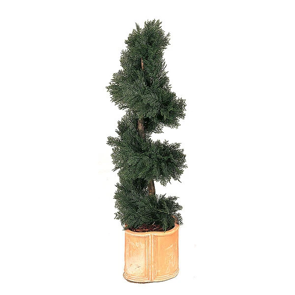 4 Foot Artificial Outdoor Juniper Spiral Topiary With Natural Trunk 3 4 Foot Artificial Outdoor Juniper Spiral Topiary With Natural Trunk
