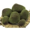 Plastic Moss Rocks - Set Of 6 -Artificial Trees Shop AGF1170 ZM 1