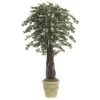 7 Foot Mini Ficus: Potted -Artificial Trees Shop AGF1223 ZM 1