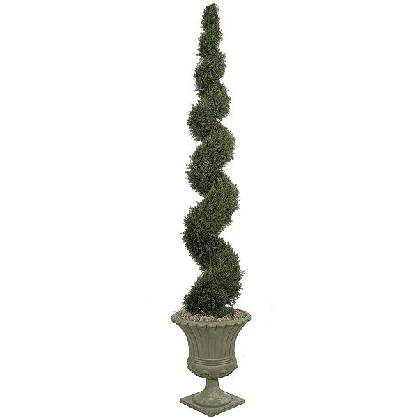 10 Foot Cypress Spiral Topiary 3 10 Foot Cypress Spiral Topiary