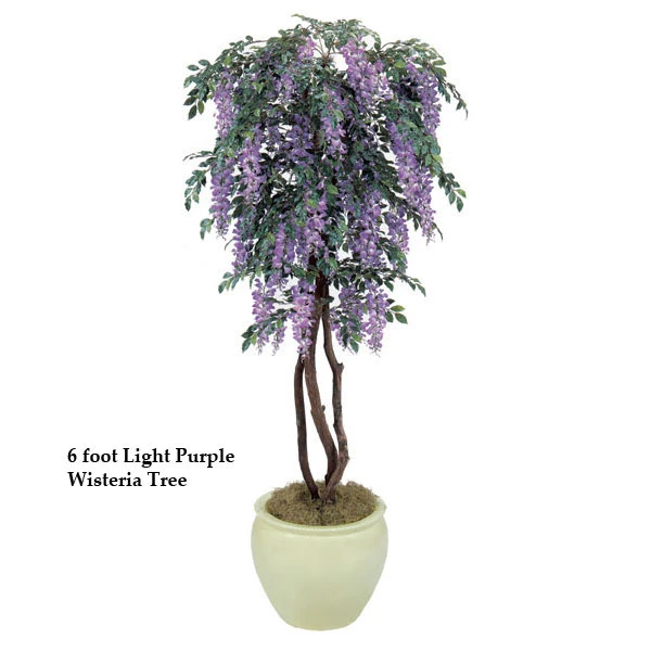 8 Foot Wisteria Tree: Multiple Colors 3 8 Foot Wisteria Tree: Multiple Colors