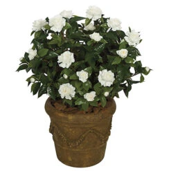 28 Inch Artificial Outdoor Gardenia Flowers: Red And White