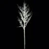 80 Inch Plastic Snow Covered Populus Tree: Unlit -Artificial Trees Shop AGF2488 ZM 1