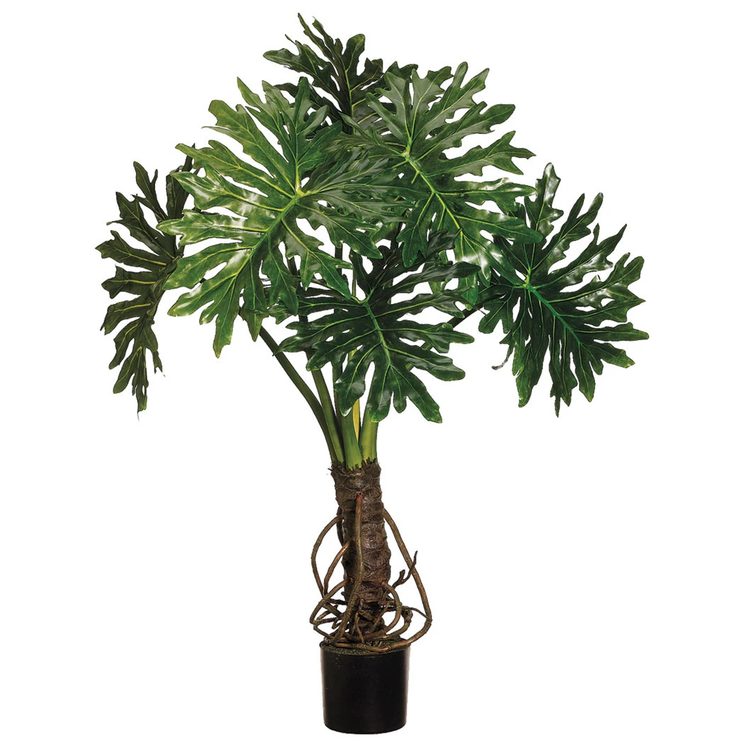 4 Foot Outdoor Split Leaf Philodendron: Limited UV 3 4 Foot Outdoor Split Leaf Philodendron: Limited UV