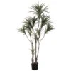 6 Foot Outdoor Dracaena Marginata Tree: Limited UV 1 6 Foot Outdoor Dracaena Marginata Tree: Limited UV -Artificial Trees Shop ALL1391 ZM 1