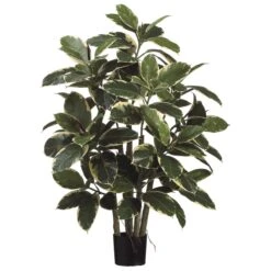 39 Inch Rubber Leaf Plant: Potted (Set Of 2)