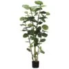 5 Foot Eva Sea Grape Plant: Potted 2 5 Foot Eva Sea Grape Plant: Potted -Artificial Trees Shop ALL1401 ZM 1
