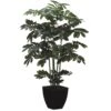 48 Inch Zamia Plant: Potted (Set Of 2) -Artificial Trees Shop ALL1404 ZM 1