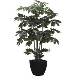 48 Inch Zamia Plant: Potted (Set Of 2)