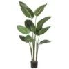 5 Foot Bird Of Paradise Plant: Potted 2 5 Foot Bird Of Paradise Plant: Potted -Artificial Trees Shop ALL1408 ZM 1
