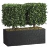 24 Inch Boxwood Topiary In Rectangular Bamboo Container -Artificial Trees Shop ALL1430 ZM 1