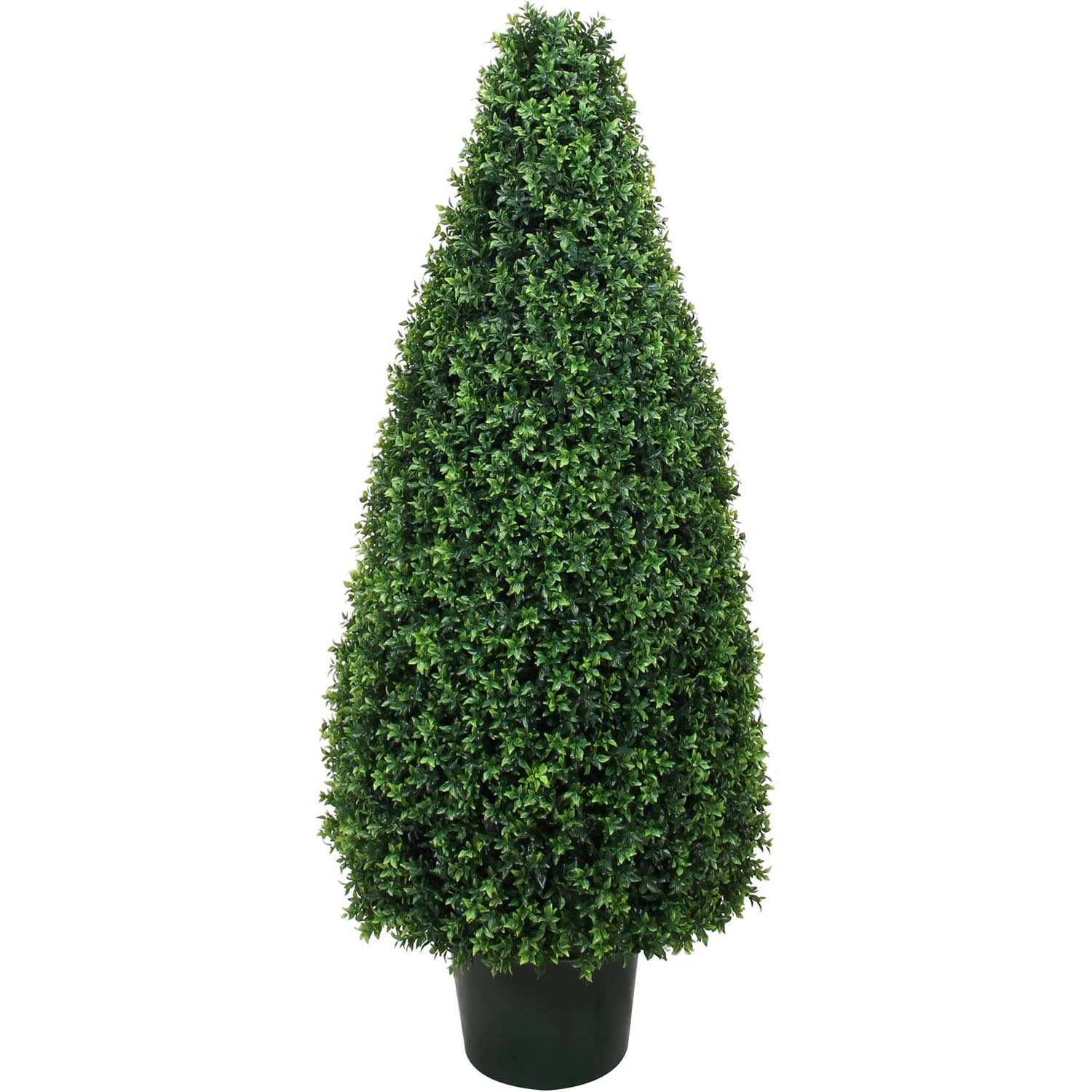 30 Inch UV Protected Basil Cone Topiary: Potted 3 30 Inch UV Protected Basil Cone Topiary: Potted