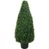 42 Inch UV Protected Basil Cone Topiary: Potted