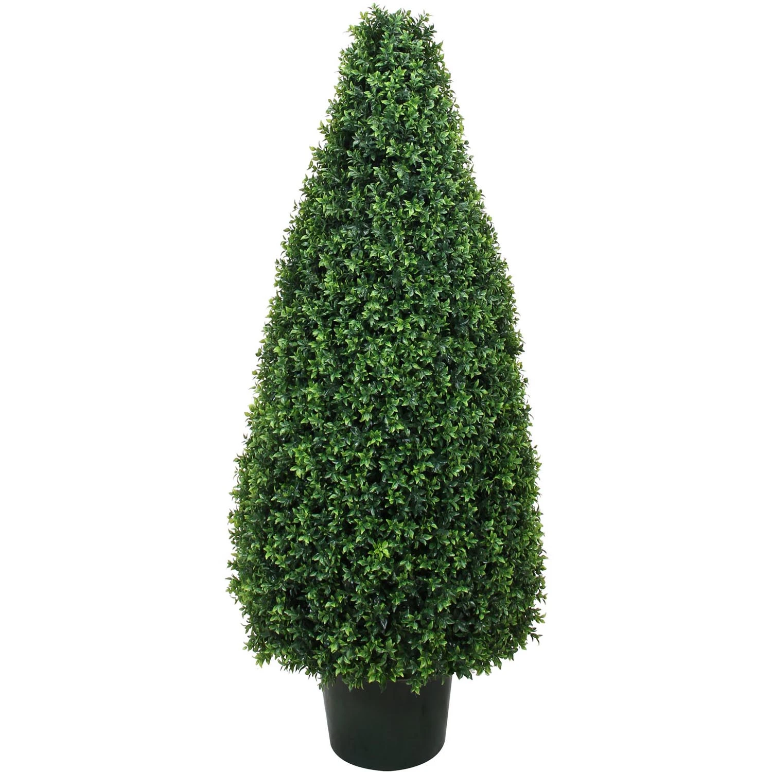 54 Inch UV Protected Basil Cone Topiary: Potted 3 54 Inch UV Protected Basil Cone Topiary: Potted