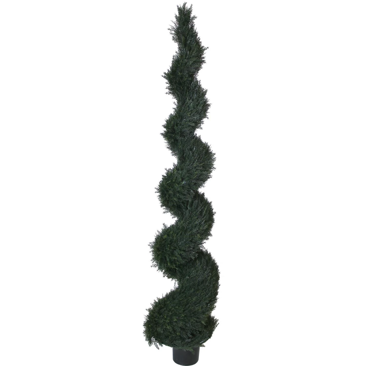 8 Foot UV Protected Spiral Pond Cypress Topiary: Potted 3 8 Foot UV Protected Spiral Pond Cypress Topiary: Potted