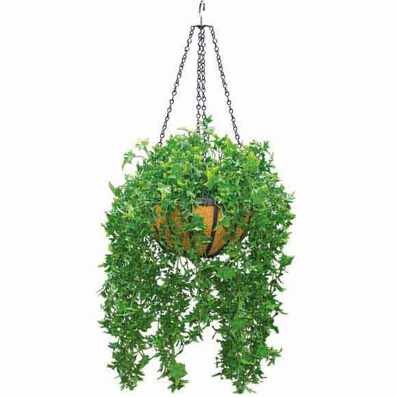 Artificial Outdoor English Ivy In Decorative Hanging Basket With Chain 3 Artificial Outdoor English Ivy In Decorative Hanging Basket With Chain