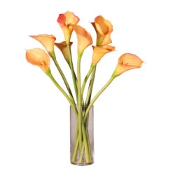 24 Inch Natural Touch Peach Calla Lilies In Glass Vase