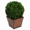 Preserved Tabletop Globe Topiary -Artificial Trees Shop FGA1015 ZM 1