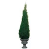 Preserved Juniper Blue Point -Artificial Trees Shop FGA3004 ZM 1