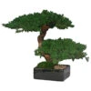 12 Inch Preserved Double Monterey Bonsai 1 12 Inch Preserved Double Monterey Bonsai -Artificial Trees Shop MBO010