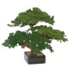 18 Inch Preserved Triple Monterey Bonsai -Artificial Trees Shop MBO018