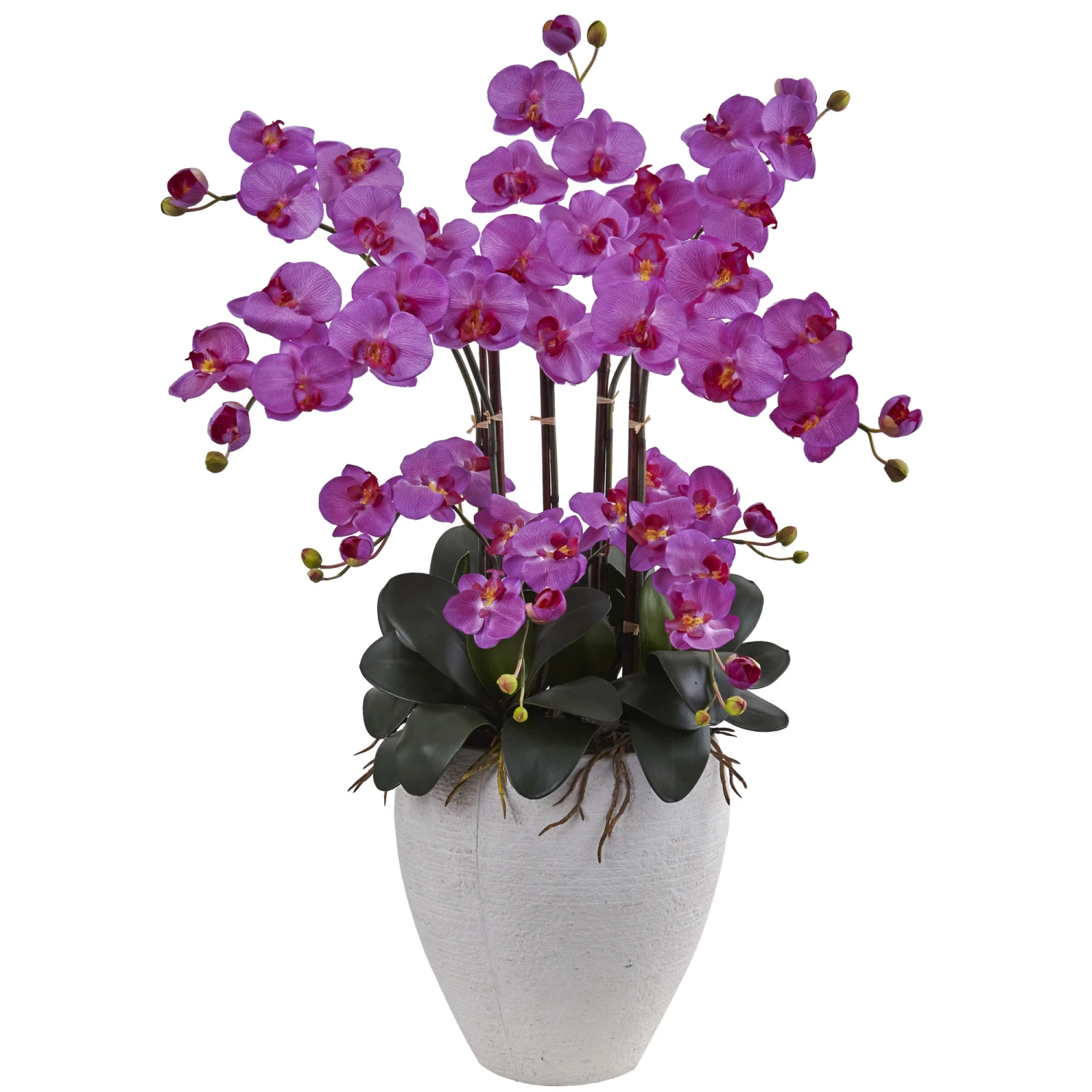 34 InchPhalaenopsis Orchid With White Planter 3 34 InchPhalaenopsis Orchid With White Planter
