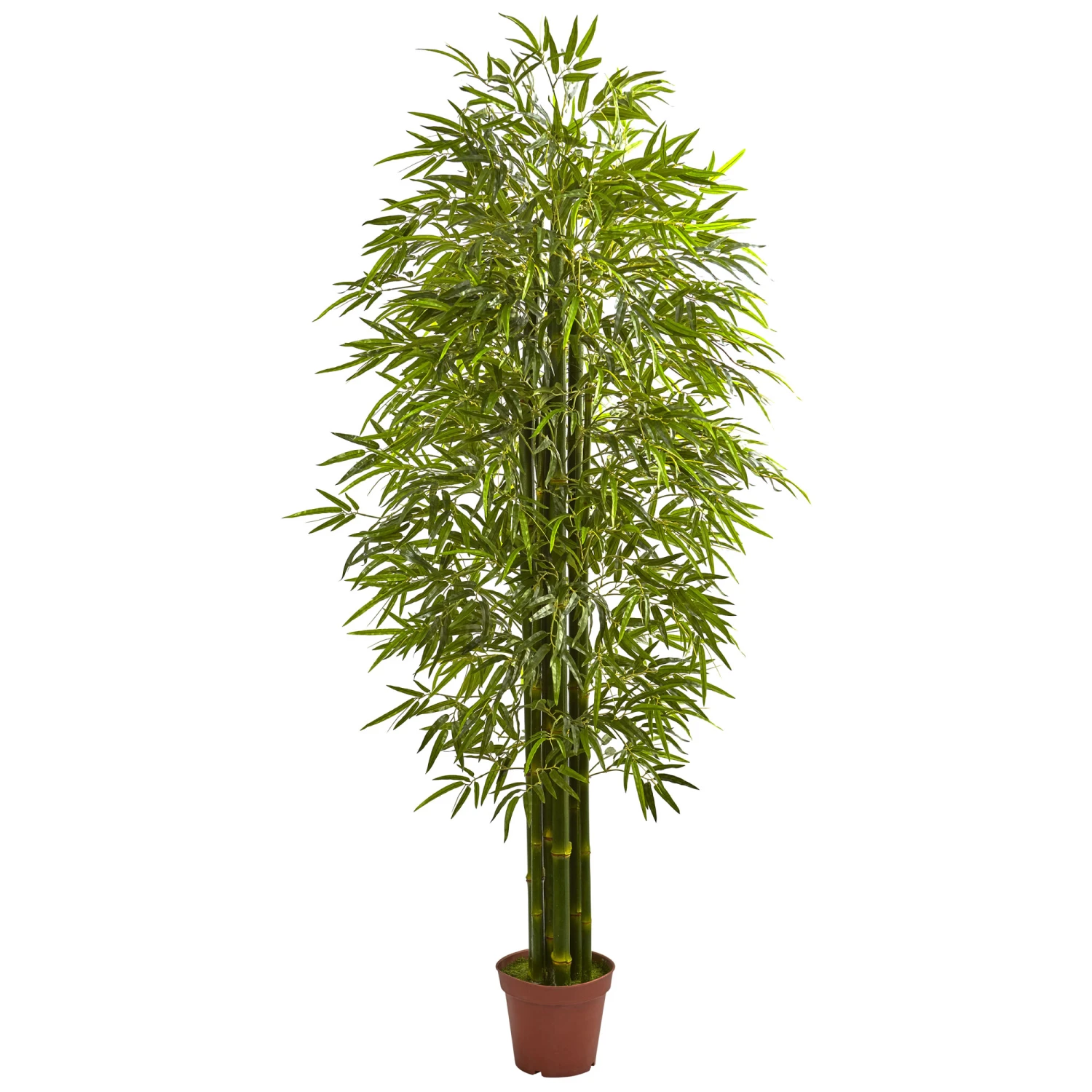 7 Foot Outdoor Bamboo Tree: Limited UV Protection 3 7 Foot Outdoor Bamboo Tree: Limited UV Protection