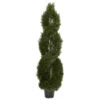 5 Foot Pond Cypress Spiral Topiary: UV Protected