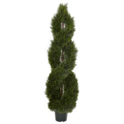 5 Foot Pond Cypress Spiral Topiary: UV Protected