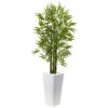 5 Foot Bamboo Tree In White Planter: Limited UV Protection -Artificial Trees Shop NEA 5953