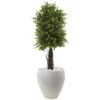 40 Inch Ixora Topiary In White Planter: UV Protected -Artificial Trees Shop NEA 5963